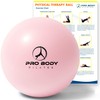 ProBody Pilates Exercise Balls Physical Therapy - 9 Inch Small