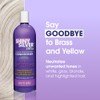 One 'n Only Shiny Silver Ultra Conditioner