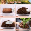 Riare 8 Pack Coco Chips Substrate for Plants- 8.8lb 100%