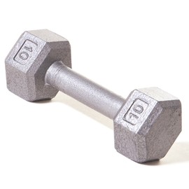 Solid Hex Dumbbell - 10 lb.