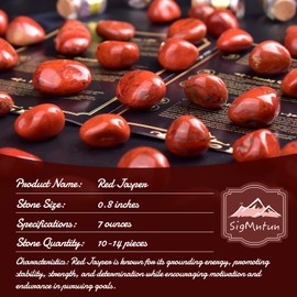 SigMntun Polished Stone Set Red Jasper Crystals, Handpicked Tumbled Gemstones Rocks, Pebbles for Reiki, Chakra, Healing, Home Decor 0.8 inches 7 oz