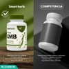 Smart Herb Paquete Focus GMB, Suplemento Alimenticio, 2 piezas (30