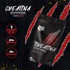 Creatina Monohidratada Dark Wolf, Alta Pureza, 100 Natural, Sin OGM,