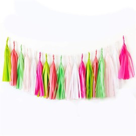 Full Win Shop 30 pcs Tassel 7ft DIY Party Hanging Decoration Mix Colors Paper Tassels Garland for Wedding Decor, Birthday Party, Baby Shower, Bridal Shower (Pink+Rose+Beige+Green+Fruit+Watermelon)
