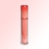 Rom&The Juicy Lasting Tint 10 Bare Apricot / 롬앤 더 쥬시 래스팅 틴트 10 베어 애프리콧