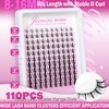 JIMIRE Fairy Lash Clusters Natura Look Manga Lashes Cluster Wispy