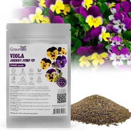 Groundio Johnny Jump Up Seeds, 10000+ Perennial Wild Violet Seeds for Planting, Edible Flowers, Attracts pollinators