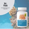 Raab Vitalfood Coral Calcium Capsules Made of Sango Corals, Pack