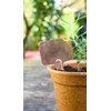 Nutley's T-Shape Copper Labels Plant Seedling Markers (Pack of 100)