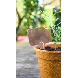 Nutley's T-Shape Copper Labels Plant Seedling Markers (Pack of 100)