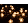 25 Pack G40 Frosted White Light Bulbs Replacement, 1.5 Inch