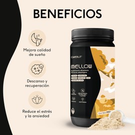 QUENUT Mezcla de Hongos Adaptógenos en Polvo Mushroom Blend Mellow 350g 50 porciones Apoyo para el Estrés, Sueño y Relajación Extracto de Melena de León, Cordyceps, Chaga, Cacao Mexicano, Jengibre y Cúrcuma Sabor Matcha Latte