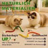 KDULPG Natural Catnip Chew Toy - 3 Pack | With