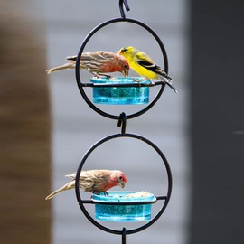 Mosaic Birds Hummble Basic Bird Feeder, M045-200-09, 3.4 Ounce Capacity, Aqua Blue, 1 Piece