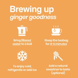 Tipson Organic Ginger Herbal Infusions - Ginger Original - 20 Premium Tea Bags (Pack of 1)