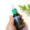 Apis Brazil Green Propolis [Liquid 30ml] (Excellent functional ingredients) /