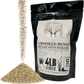Crooked Bend BigAzz Switchgrass Seed, Bulk RC Big Rock Variety, Extra Tall Drought-Tolerant Native Perennial Grass for Deer Habitat, Bedding Areas, Green Screens & Food Plots (4 pounds)