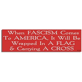 Gear Tatz - When Fascism Comes to America, It Will Be Wrapped in A Flag & Carrying A Cross - Politcal, Liberal - Car Magnet - 3 x 10 inches - Professionally Made in The USA - Magnetic Decal