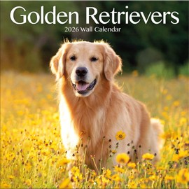 TURNER PHOTOGRAPHIC Golden Retrievers 12x12 Photo Wall Calendar (26998940022)