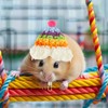 Thinp 4 Pcs Hamster Hats,Hamster Clothes Knitted Hats for Small