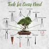 BambooMN Bonsai Kit 15pc Master Tool Set