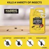 Harris Asian Lady Beetle & Box Elder Killer, Liquid Spray