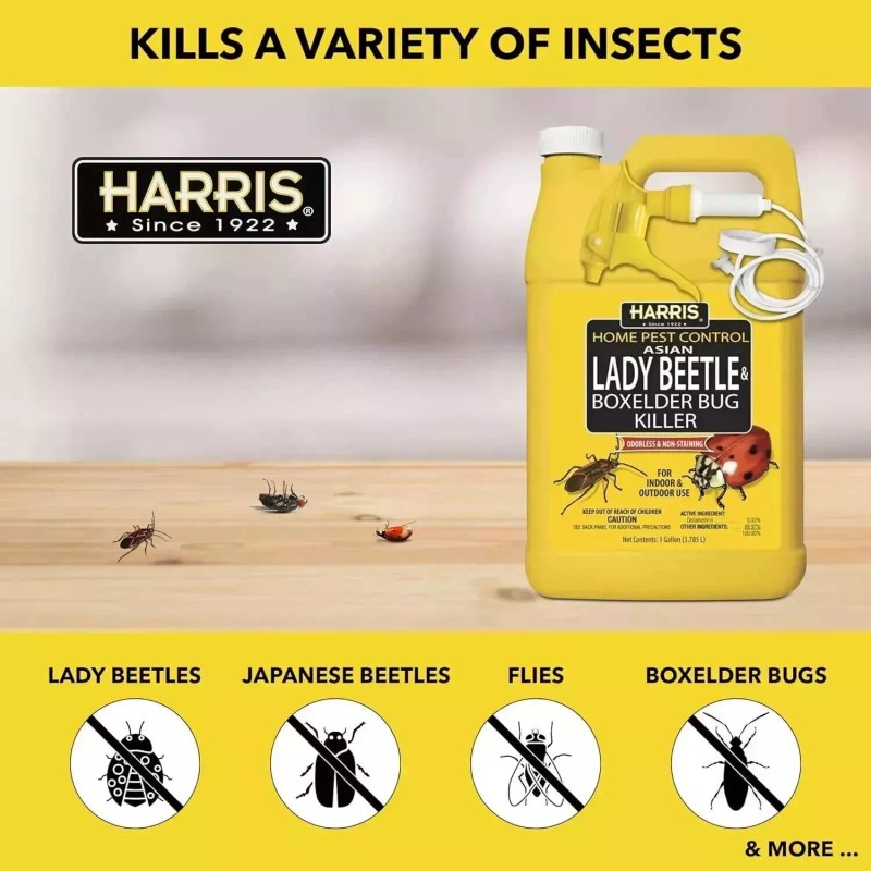 Harris Asian Lady Beetle & Box Elder Killer, Liquid Spray