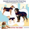 MHaustlie Dog Surgery Recovery Suit Dog Recovery Suit Female Male