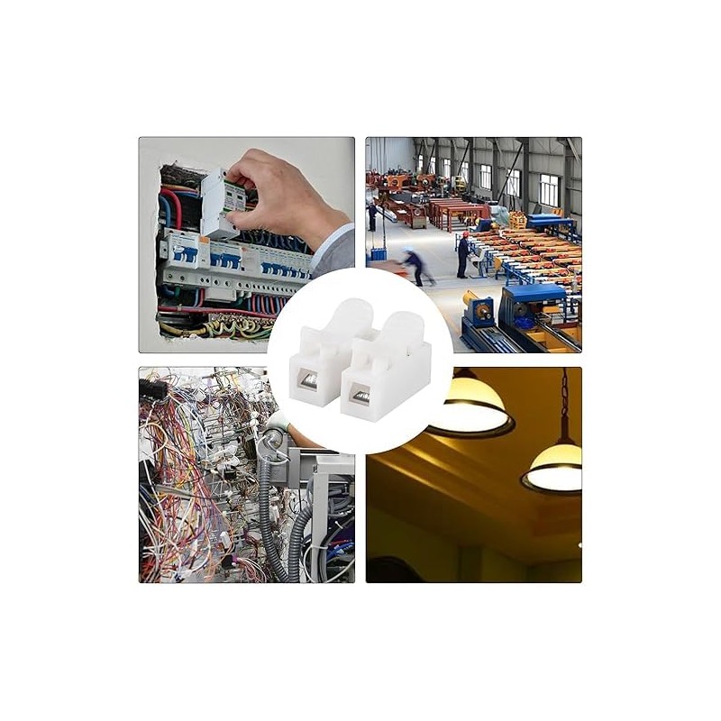 100PCS Push Quick Wire Cable Connector, 10A 220V 2 Pin