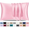 Pamposh Satin Silk Pillowcases For Hair And Skin 2 Pack
