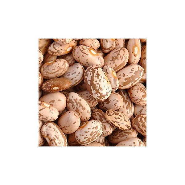 Essential Pantry Pinto Beans Organic - dried - 2 pounds