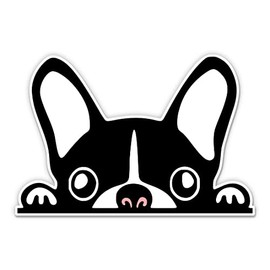 Peeping Dog Cute Puppy Stickers - 2 Pack - Waterproof Vinyl for Car, Phone, Water Bottle, Laptop - French Bulldog Decals (2-Pack)