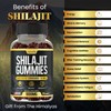 Shilajit Gummies - 3 in 1 with Sea Moss, Black