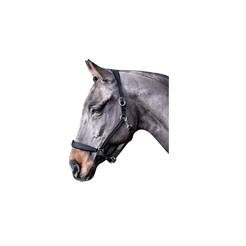 John Whitaker Ready To Ride Headcollar Black: extra full