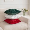 SHITURRE Christmas Snowflake Decorative Throw Pillow Covers Set of 2