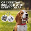BRONZEDOG Rolled Leather Dog Collar with QR ID Tag Adjustable