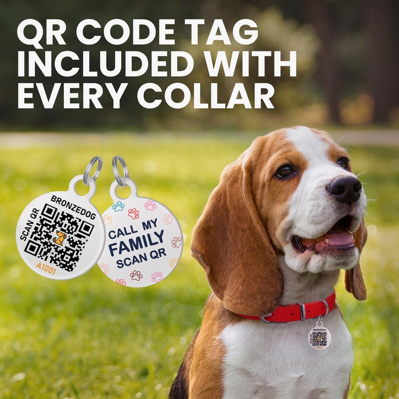BRONZEDOG Rolled Leather Dog Collar with QR ID Tag Adjustable