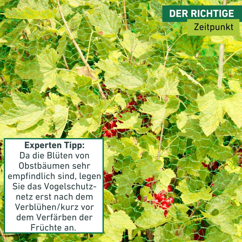 Windhager Rational Bird Protection Net, Pond Net, Leaf Net, Mesh