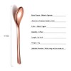 Copper Dinner Spoons 6 Piece, 8.1'' Stainless Steel Tablespoons, Soup