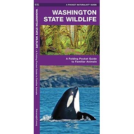 Washington State Wildlife: A Folding Pocket Guide to Familiar Animals (Wildlife and Nature Identification)