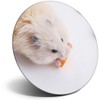Destination Vinyl ltd Magnet for Refrigerator, Fridge - Cute Hamster