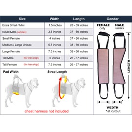 GINGERLEAD Dog Support & Rehab Sling Harnesses – Padded Lifting Aid with Leash for Comfort & Control to Assist Old / Disabled Pets, Safely Recover from Knee / TPLO, Hip or Back Surgery. Made in U.S.A.