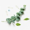 René Furterer [Department Store] [René Furterer] (René Furterer) Astera Scalp