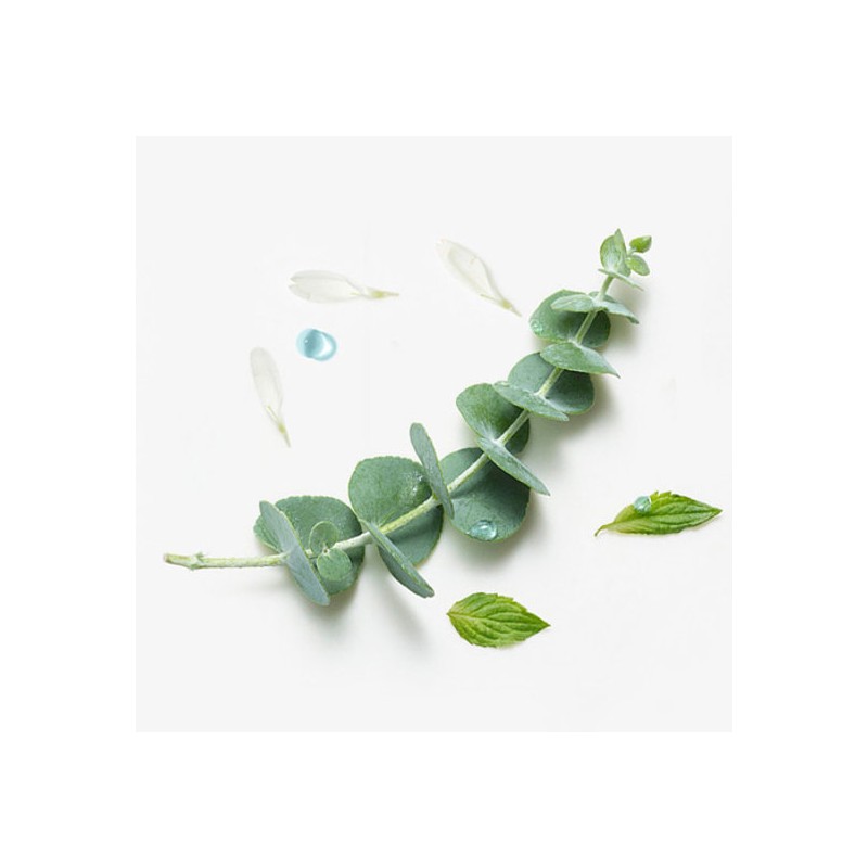 René Furterer [Department Store] [René Furterer] (René Furterer) Astera Scalp