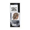 L'Oreal Colorista Hair Makeup Metallic Grey Blonde Temporary Hair Colour