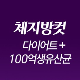 Wolto Market Partner Direct 10 billion diet lactic acid bacteria 1 container 1 container / 다이렉트100억 다이어트 유산균 1통 1통