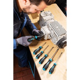 HAZET 163-184/6 Slot Cross Recess Profile PH HEXAnamic Screwdriver Set - Multi-Colour