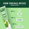 Dabur Organic Basil Toothpaste for Fresh Breath 100ml - Natural