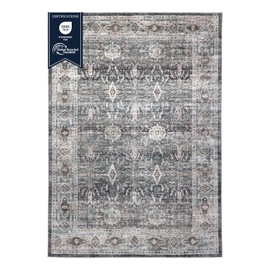 Delara Machine Washable Area Rug, Soft & Durable, Non-Slip, Stain Resistant Rug for Bedroom, Living Room, Dining Room, High Traffic Areas. (Twilight Ash, 5' X 7')