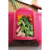 rukue Limited steam Case 5th aniba-sari-setto Lettuce 60024 